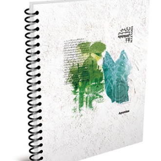 Cuaderno 29.7 Apuntes milenaria 80 hs cuadriculado espiral