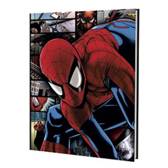 Cuaderno 16x21 spiderman tapa dura 48 hs ray