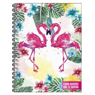 Cuaderno 29.7 como quieres tapa dura 120 hs ray espiral